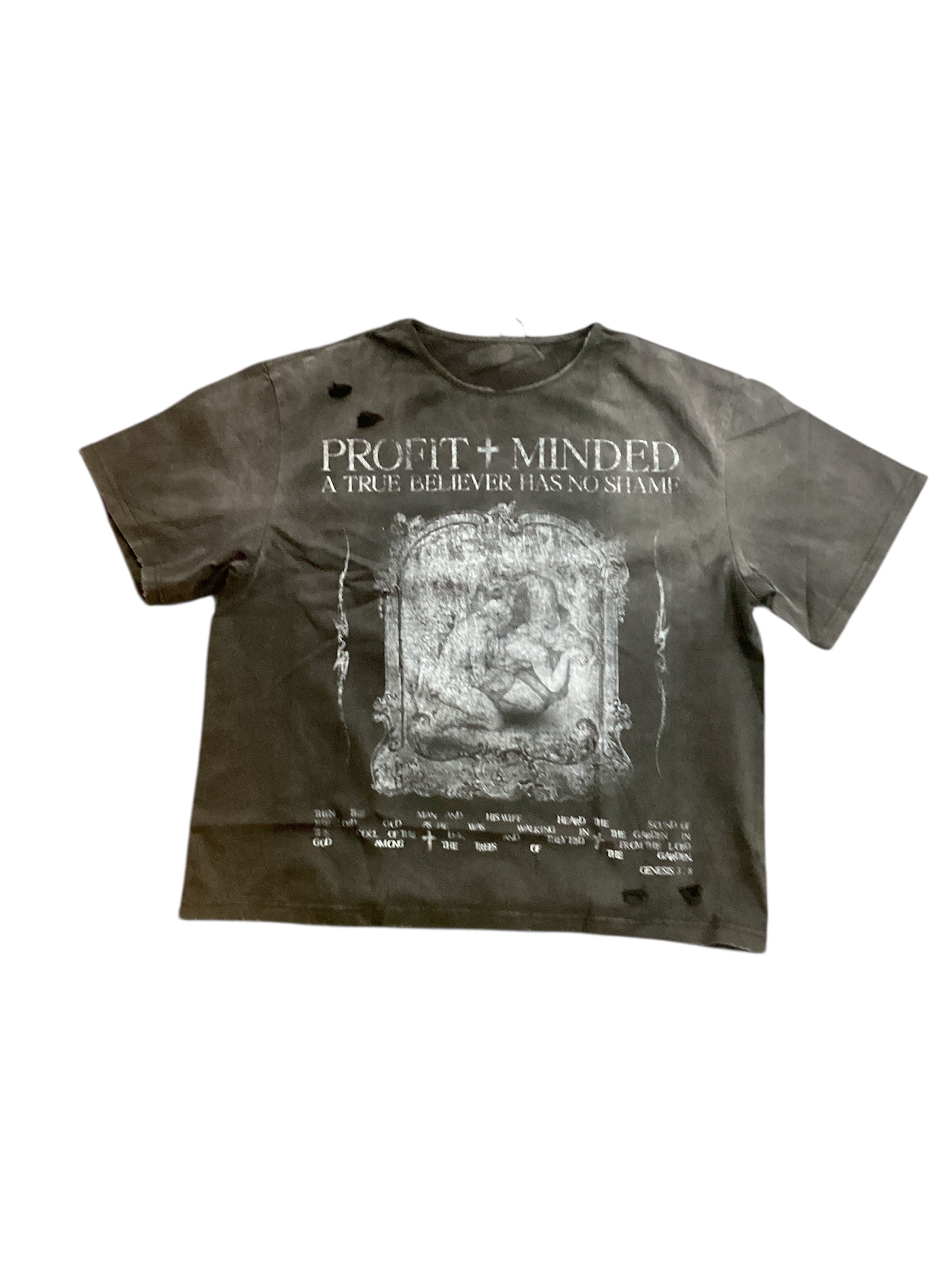 profit Minded No Shame T-shirt
