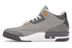 Jordan 3 Retro Cool Grey (2021)