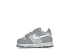 Nike Dunk Low Two-Toned Grey (TD)